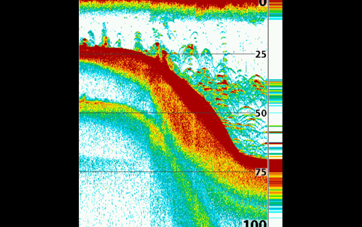 DUAL BEAM SONAR